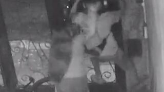 Brilliant Kid wants to Steal a Bicycle but Runs into some Tough Female Opposition