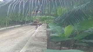 FULL VIDEO: Mom is Crushed by Excavator. Why get so Close to It?
