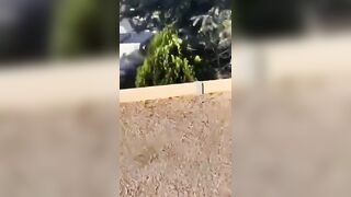 Kept filming is crazy