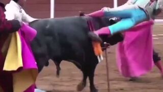 NEW: Bullfighter gets a Bull Horn Enema. BRUTAL right up the Wazoo