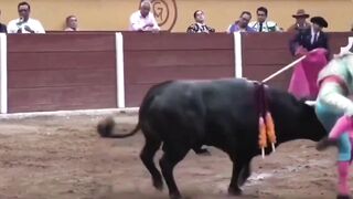 NEW: Bullfighter gets a Bull Horn Enema. BRUTAL right up the Wazoo