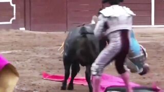 NEW: Bullfighter gets a Bull Horn Enema. BRUTAL right up the Wazoo
