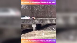 they are so busy fighting that they fall off the bridge