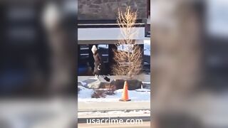 GET the DARN Dog OFF of the Deer you Morons!