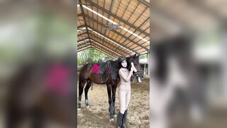 Well it's Not the Horses Fault