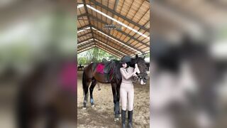Well it's Not the Horses Fault