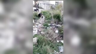 Crawling Syrian soldiers excuted today
