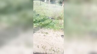 Captured Gang Leader is Cut with the Grass in Syria