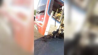 Bus Full of Food Runs Traffic Light causing Death and Destruction (Watch Aftermath)