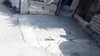 Innocent Man just Checking the noise is Brutally Gunned Down. Twice