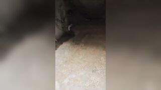 HTS soldier execute a Shia guy in Syria 3