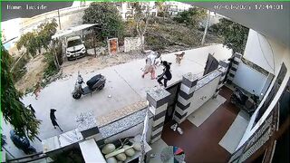 Scary Moment: 8-10 Dogs Attack 18 Year Old Girl.