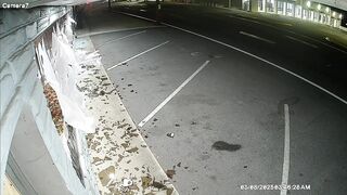 Man with Wood Pole smashes Windows at 8 Businesses then Laughs It Up (Wouldn't We all be so Lucky)