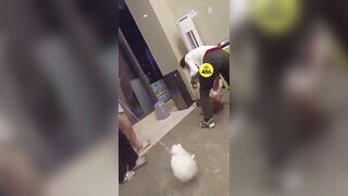 Loud mouth girl punished hard for spitting on her boyfriend face