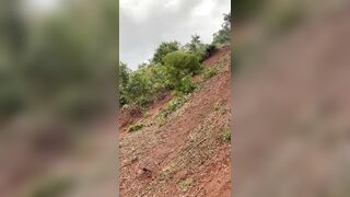 Tractor driver dies after tractor overturns while removing vegetation on highway embankment