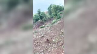 Tractor driver dies after tractor overturns while removing vegetation on highway embankment
