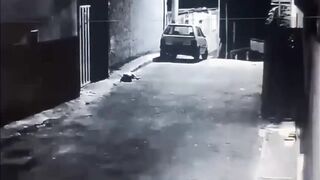 Motorcyclist arrives Home and Never Knew what Hit Him