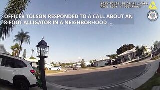 Police Officer Delivers Pizza Because Of Alligator