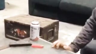 Put your Face in an Animal Trap Great Idea