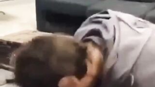 Put your Face in an Animal Trap Great Idea
