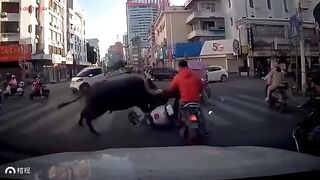 Crazy Bull savagely crashed Chinese girl on moped