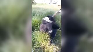 Syrian security forces executed two young civilians on the Syrian coast. Then Clap