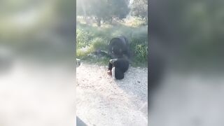 Syrian security forces executed two young civilians on the Syrian coast. Then Clap