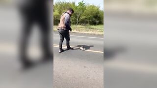 Just gonna move this lizard