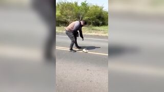 Just gonna move this lizard