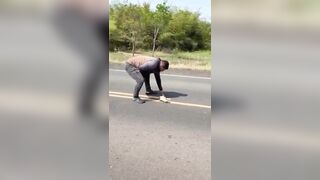 Just gonna move this lizard