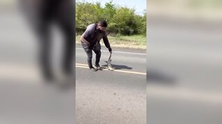 Just gonna move this lizard