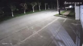 I've seen a Lot of Bad Accidents, but Not Many End Up ON the Roof