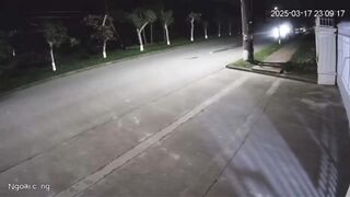 I've seen a Lot of Bad Accidents, but Not Many End Up ON the Roof