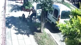 Kidnapping Alert: Degenerates Drag Female into Van and Take Off