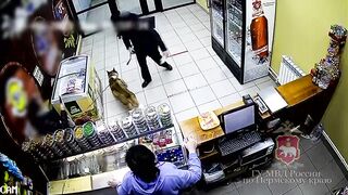 Man breaks Woman's Spine in Drunk Beating because of her 2 Dogs
