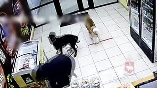 Man breaks Woman's Spine in Drunk Beating because of her 2 Dogs