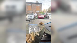 The Full Video of Repo man run over by driver trying to escape tow truck