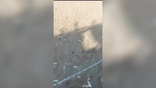 Bull Rips Off a Man's Manhood and puts the Horn right into his Stomach