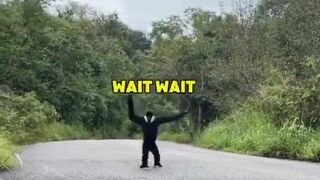 Genuinely good voice over