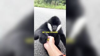 Genuinely good voice over