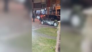 Fat Boy is brave enough to stand in front of the car in this situation
