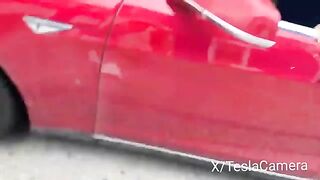 Woke Boomer Karen Vandalizes a Tesla, Then Like Most Liberals Throws Hissy Fit When Caught.