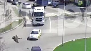 How does the Truck Driver not see this Guy Crossing with his Bicycle?