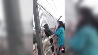 Man Stops Traffic to Jump Off Bridge despite the Pleads of Strangers. The man had previously murdered his daughter's partner.