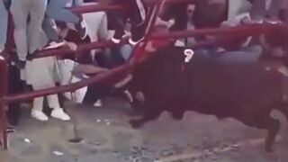 New: Enraged Bull goes Directly into the Crowd Bending Metal (Watch 2 Angles!)