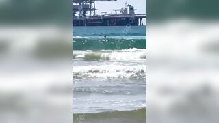 Sea of Blood: Shark Attack Caught on Camera from Man Filming on the Shore