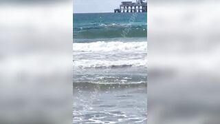 Sea of Blood: Shark Attack Caught on Camera from Man Filming on the Shore