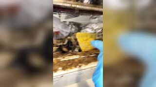 Discovery of World's Most Disgusting Family and Footage from inside their Home