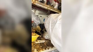 Discovery of World's Most Disgusting Family and Footage from inside their Home