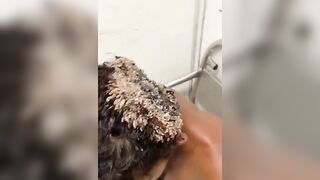 Poor Guyu: The most disgusting video you'll watch today